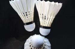 世界杯预测-羽毛球用球羽毛球用球拍捡球怎么捡