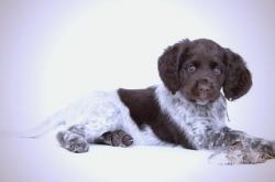 世界杯下注-明斯明斯克号航母