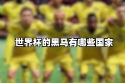 2026世界杯下注-世界杯黑马世界杯黑马球队有哪些