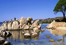 世界杯预测-瓜迪奥拉瓜迪奥拉和马雷斯卡