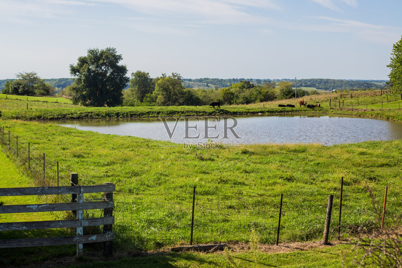 麦迪逊麦迪逊女巫