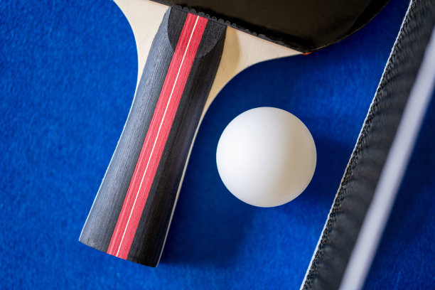 乒乓球器材广州哪里有卖乒乓球器材