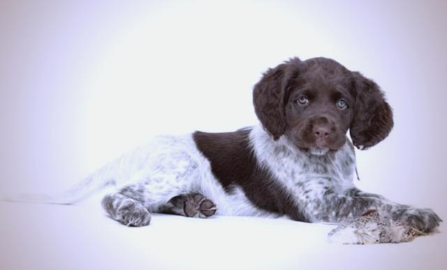 明斯明斯克号航母